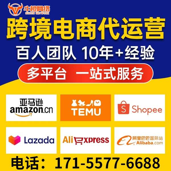 宁波电商代运营