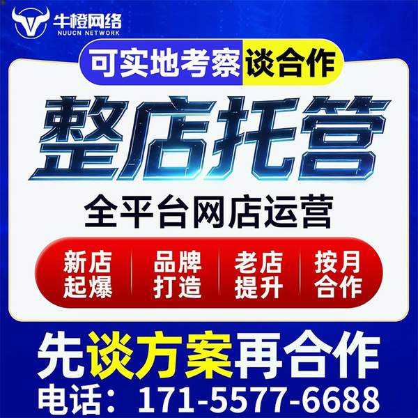 宁波电商代运营