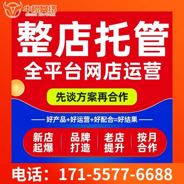 宁波电商代运营