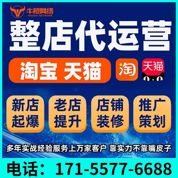 宁波电商代运营
