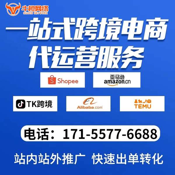 宁波电商代运营