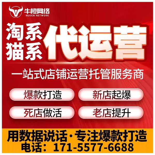 宁波电商代运营